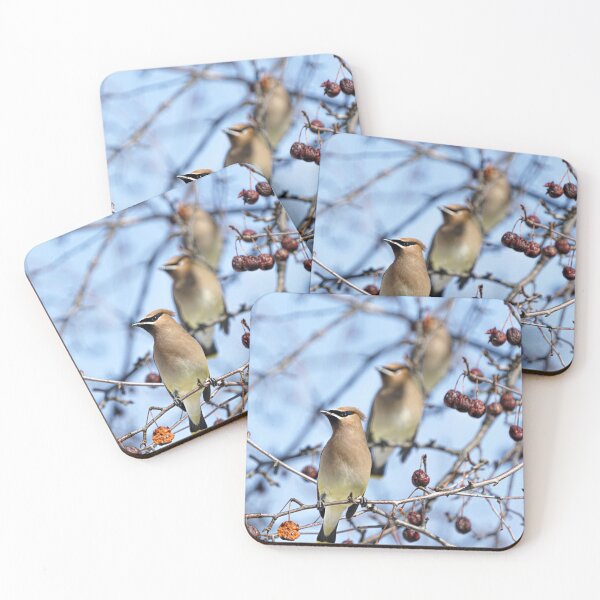 Item preview, Lined Up for Liftoff designed and sold by Mooretography.