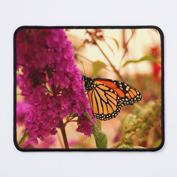 Item preview, Monarch Butterfly Feeding Flowers   designed and sold by Brittney Mae.