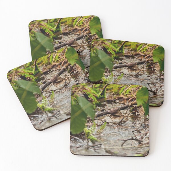 Item preview, Forest water stream - landscape and nature photography designed and sold by wojciech-c.