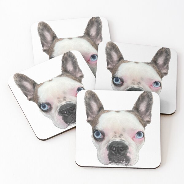 Item preview, Perro whisky designed and sold by Maxstickers68.