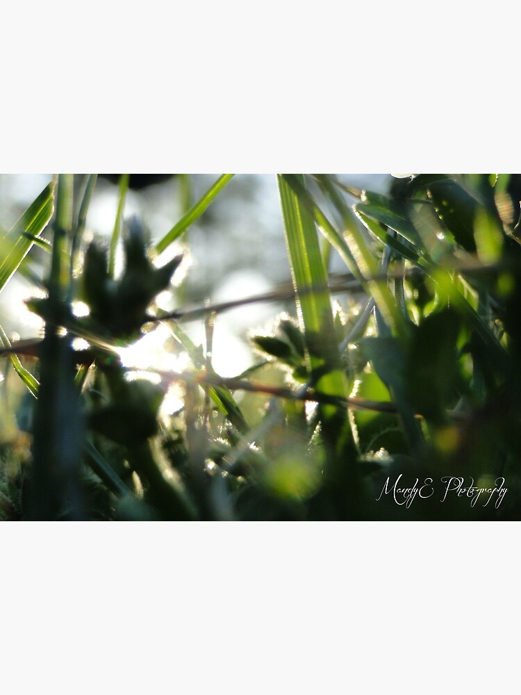 Soft Clovers #6 by Br0wnEyedQueen