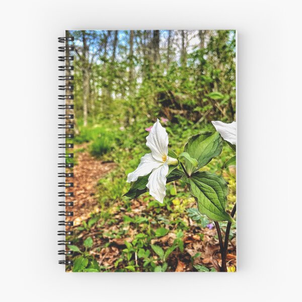 Item preview, White Trillium designed and sold by Jason Tompkins.