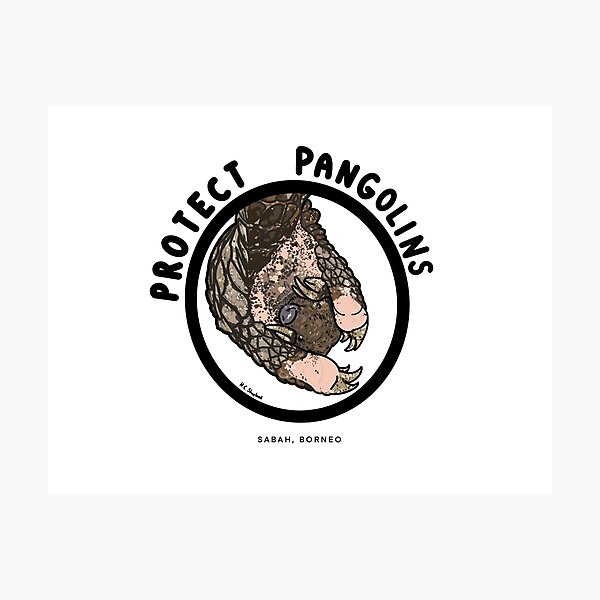 Item preview, Protect Pangolins Sabah, Borneo  designed and sold by HanShapsDesigns.