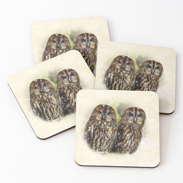 Item preview, Tawny owls designed and sold by Guardi71.