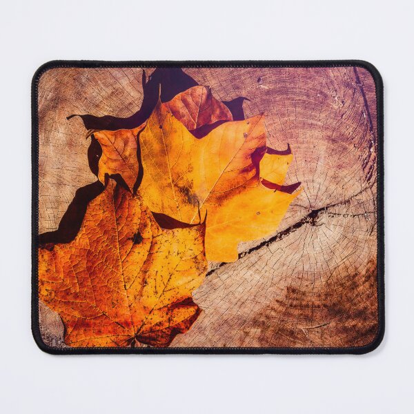 Item preview, Leaves On A Tree Stump designed and sold by Jim Love.