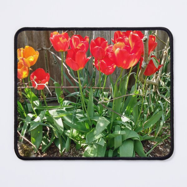 Item preview, Enlightened Tulips designed and sold by David Trotter Fine Art.