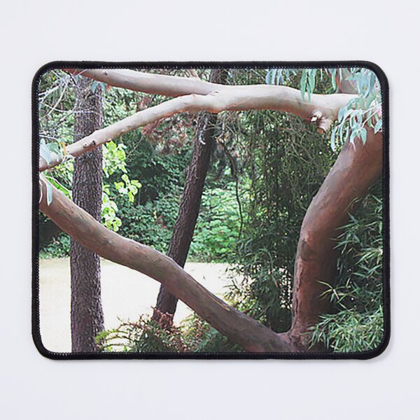 Item preview, Madrona Lighted in the Park designed and sold by David Trotter Fine Art.