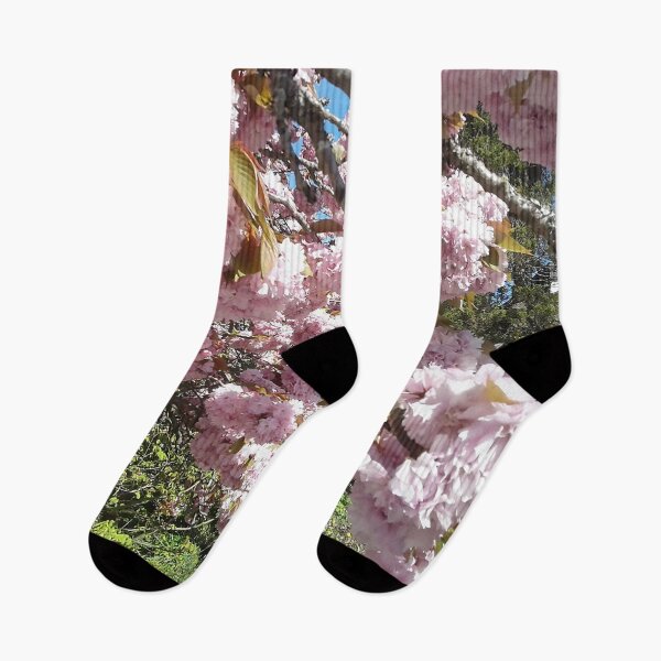 Item preview, Suburban Cherry Blossoms at Full Light designed and sold by David Trotter Fine Art.