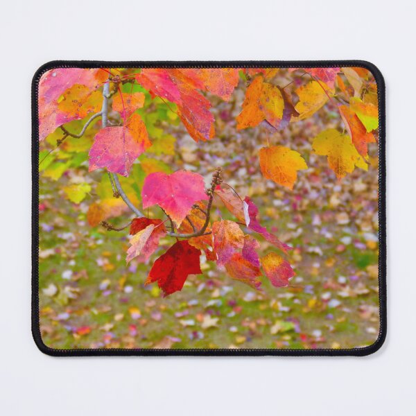Item preview, Colorful Fall designed and sold by Notcamerashy.