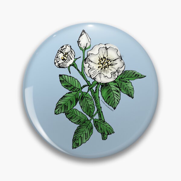 Item preview, White Globular Rose Bloom Single 1-7 Petals Almost Flat designed and sold by Rachael Taylor.