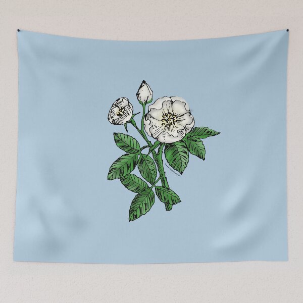 Item preview, White Globular Rose Bloom Single 1-7 Petals Almost Flat designed and sold by Rachael Taylor.
