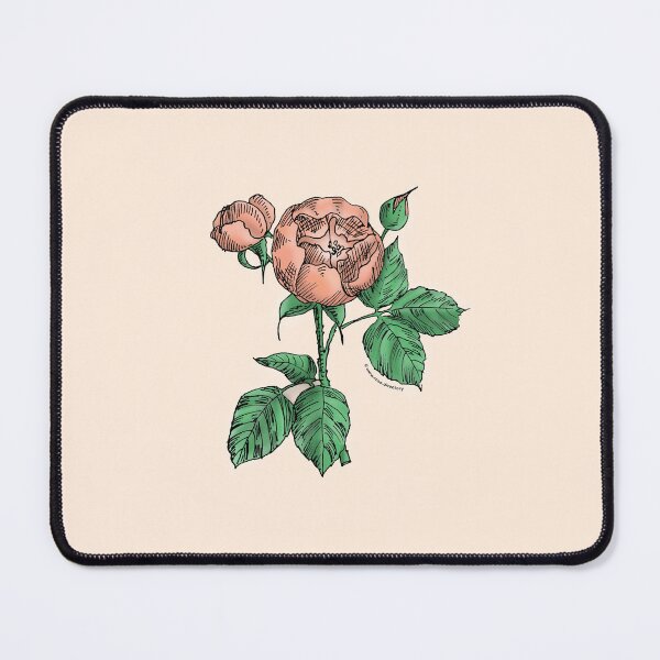 Item preview, Apricot Globular Rose Bloom Semi-Double 8-15 Petals In 2 Rows designed and sold by Rachael Taylor.