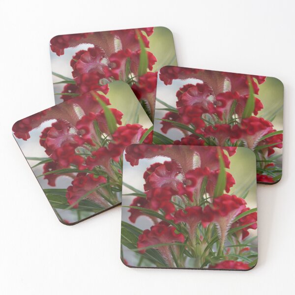 Item preview, Red Flower Warts Spring designed and sold by Tigerr3g.