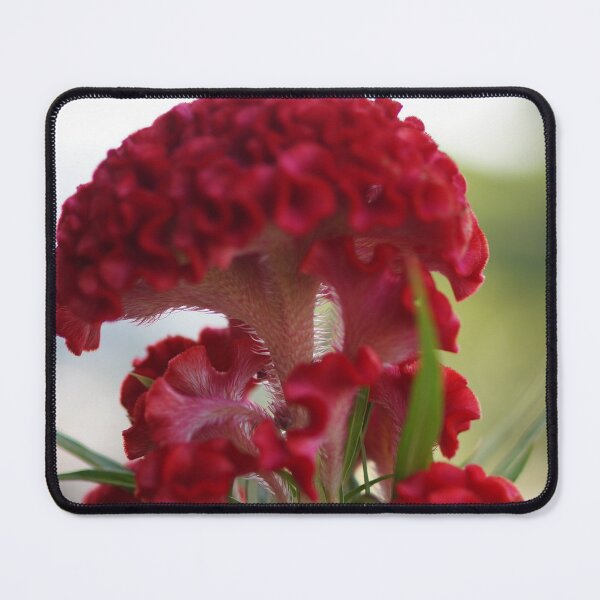 Item preview, Red Flower Warts Spring designed and sold by Tigerr3g.