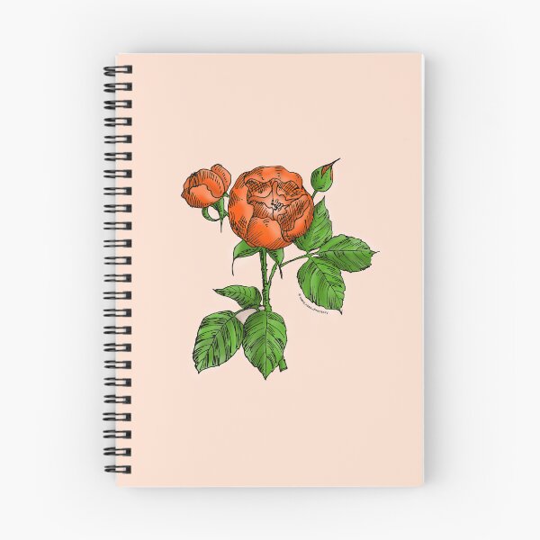 Item preview, Orange Globular Rose Bloom Semi-Double 8-15 Petals In 2 Rows designed and sold by Rachael Taylor.