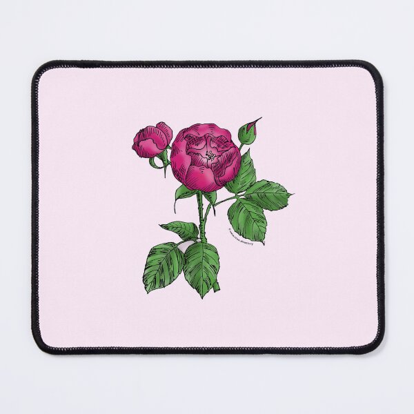 Item preview, Deep Pink Globular Rose Bloom Semi-Double 8-15 Petals In 2 Rows designed and sold by Rachael Taylor.