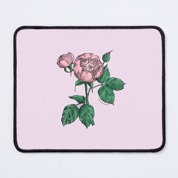 Item preview, Light Pink Globular Rose Bloom Semi-Double 8-15 Petals In 2 Rows designed and sold by Rachael Taylor.