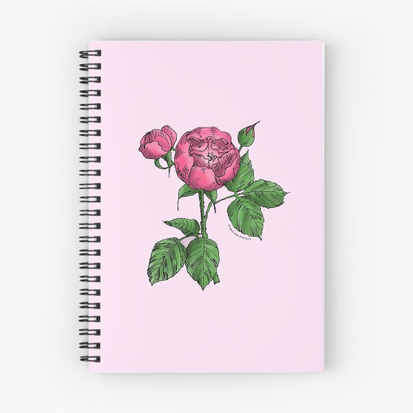 Item preview, Mid Pink Globular Rose Bloom Semi-Double 8-15 Petals In 2 Rows designed and sold by Rachael Taylor.