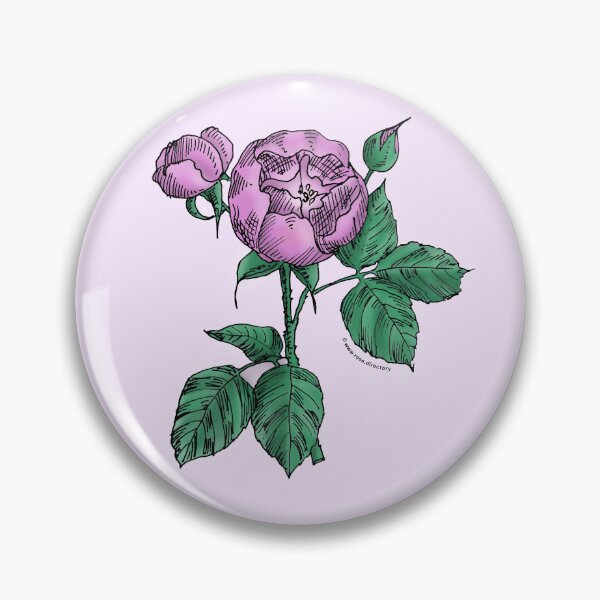 Item preview, Purple Globular Rose Bloom Semi-Double 8-15 Petals In 2 Rows designed and sold by Rachael Taylor.
