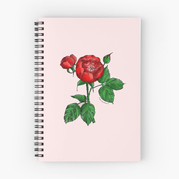 Item preview, Bright Red Globular Rose Bloom Semi-Double 8-15 Petals In 2 Rows designed and sold by Rachael Taylor.