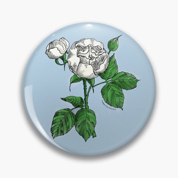 Item preview, White Globular Rose Bloom Semi-Double 8-15 Petals In 2 Rows designed and sold by Rachael Taylor.