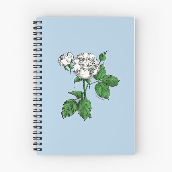 Item preview, White Globular Rose Bloom Semi-Double 8-15 Petals In 2 Rows designed and sold by Rachael Taylor.