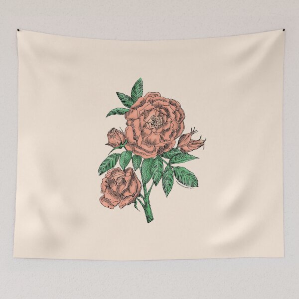 Item preview, Apricot Globular Rose Bloom Double 16-25 Petals In 3+ Rows designed and sold by Rachael Taylor.