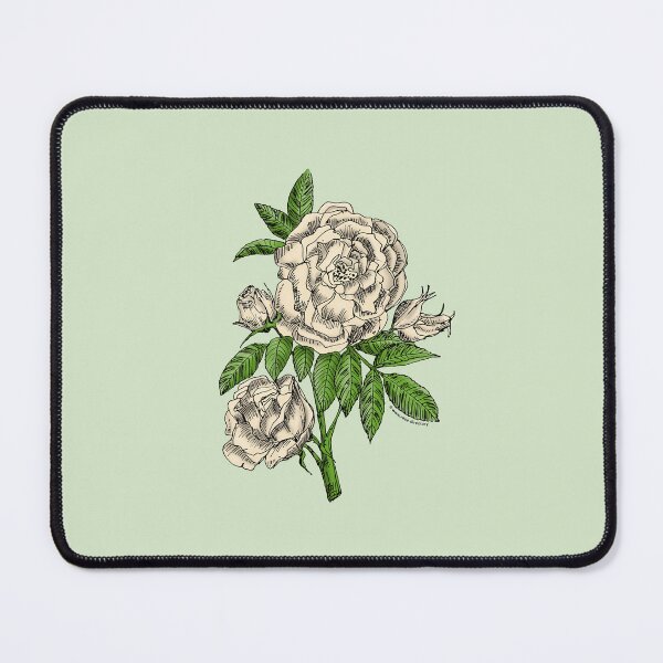 Item preview, Cream Globular Rose Bloom Double 16-25 Petals In 3+ Rows designed and sold by Rachael Taylor.