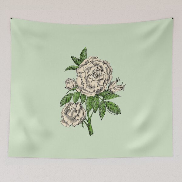 Item preview, Cream Globular Rose Bloom Double 16-25 Petals In 3+ Rows designed and sold by Rachael Taylor.