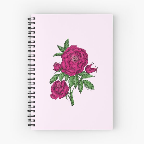 Item preview, Deep Pink Globular Rose Bloom Double 16-25 Petals In 3+ Rows designed and sold by Rachael Taylor.
