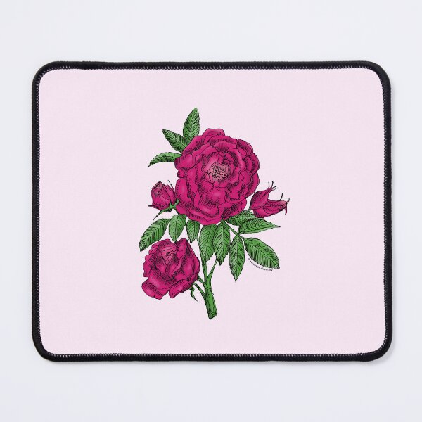 Item preview, Deep Pink Globular Rose Bloom Double 16-25 Petals In 3+ Rows designed and sold by Rachael Taylor.