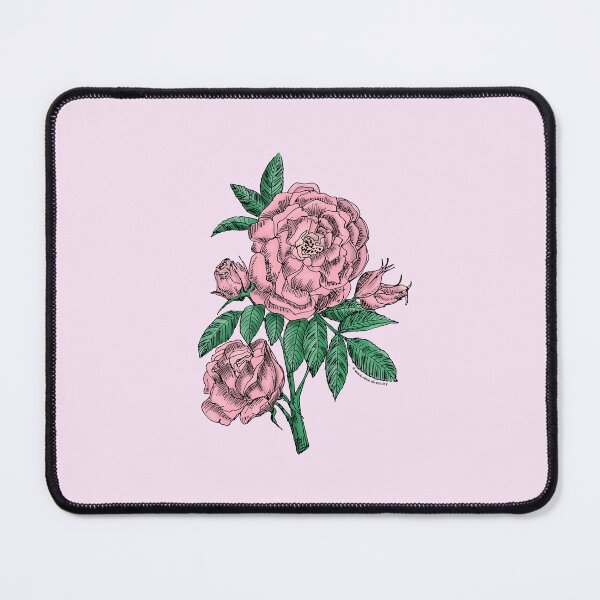 Item preview, Light Pink Globular Rose Bloom Double 16-25 Petals In 3+ Rows designed and sold by Rachael Taylor.