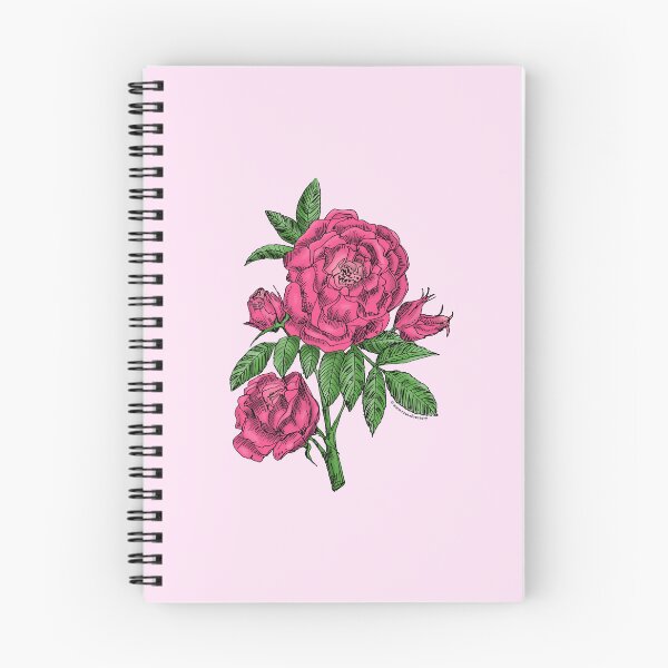 Item preview, Mid Pink Globular Rose Bloom Double 16-25 Petals In 3+ Rows designed and sold by Rachael Taylor.