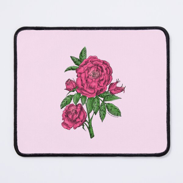 Item preview, Mid Pink Globular Rose Bloom Double 16-25 Petals In 3+ Rows designed and sold by Rachael Taylor.