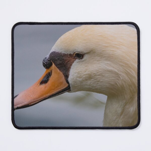 Item preview, Swan Gaze designed and sold by Carlos Monteiro.