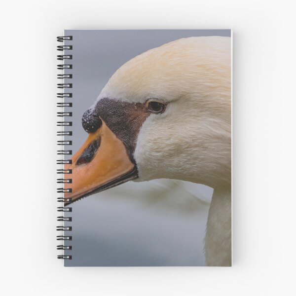 Item preview, Swan Gaze designed and sold by Carlos Monteiro.