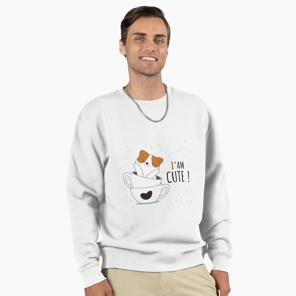 Cute Sunshine Pullover Sweatshirt - cute pet design by HackerLooks