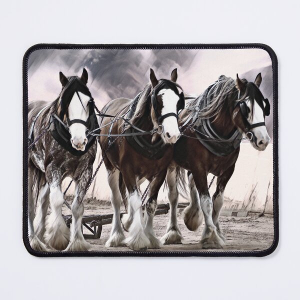 Item preview, HEAVY HORSES, STILL IN USE TODAY THEY HAVE BEEN THE LAND OWNERS BEST MATE designed and sold by Barbara Jean Photo Art And Design.
