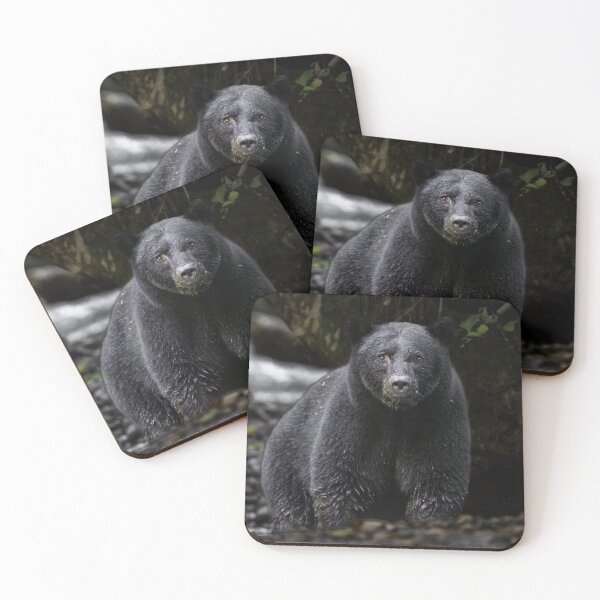 Item preview, Close encounter of Black Bear in BC, Canada designed and sold by FormigaArt.