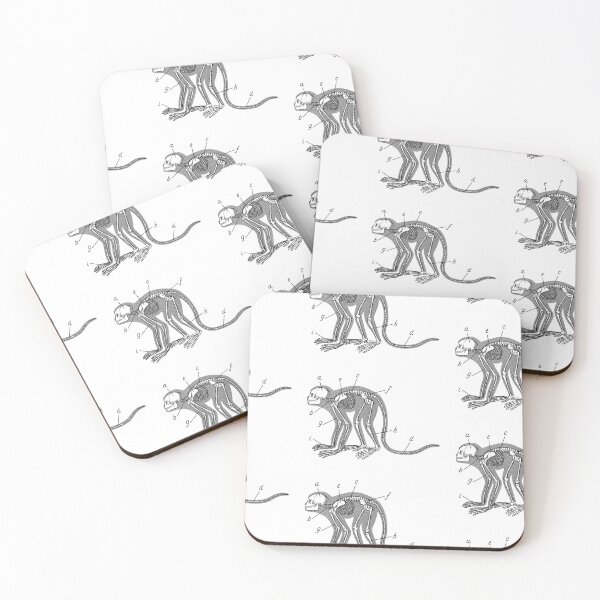 Item preview, Anatomical Monkey Skeleton with Silhouette and Labels designed and sold by Idle Morrow.