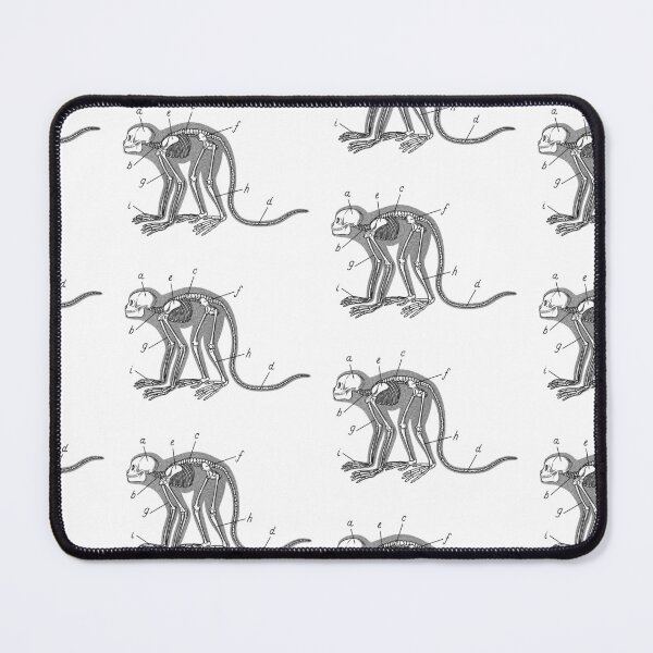 Item preview, Anatomical Monkey Skeleton with Silhouette and Labels designed and sold by Idle Morrow.