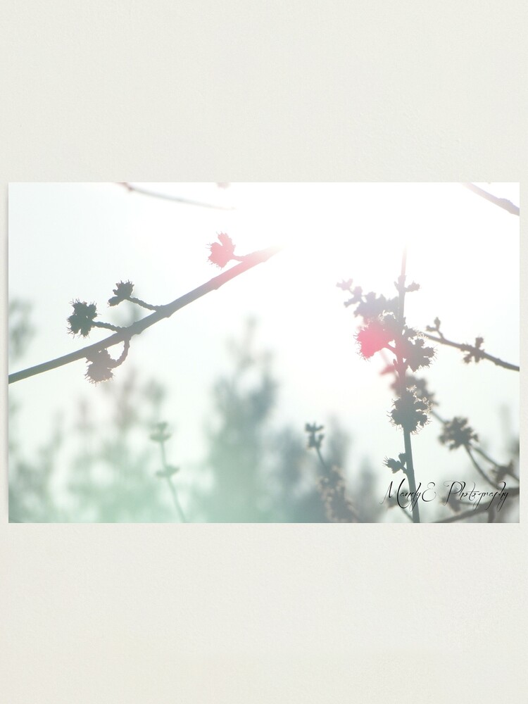 Alternate view of Wonderland #1 Photographic Print
