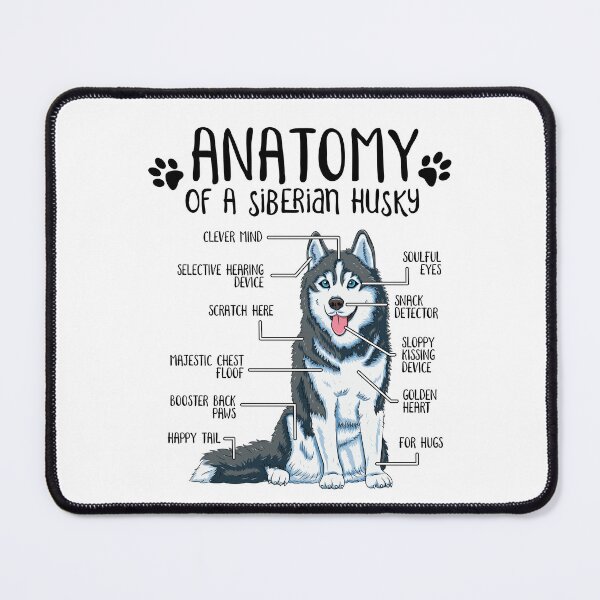 Item preview, Funny Siberian Husky Anatomy Dog Owner Dog Lover designed and sold by lanynx design.