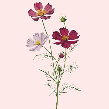 Artwork thumbnail, Cosmos - Flower Pattern by PatternInArt
