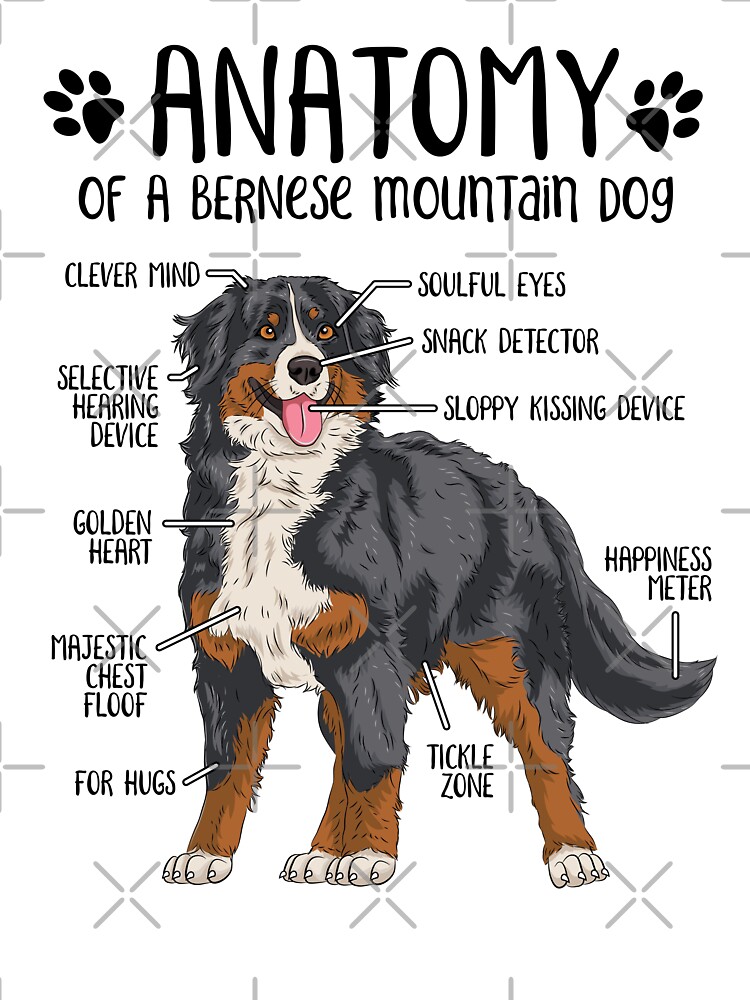 Bernese mountain dog hot sale lovers