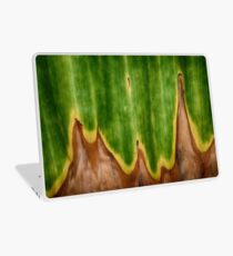 Transition Laptop Folie
