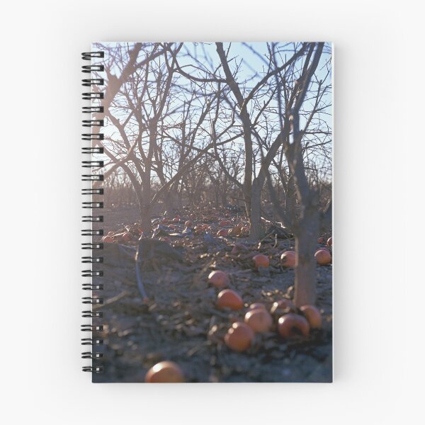 Item preview, Parc Natural de l'Albufera de València, Spain 2022 designed and sold by Michel Meijer.