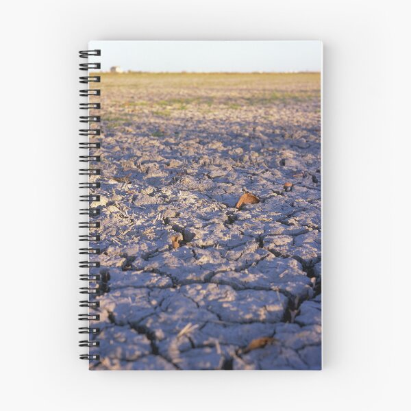 Item preview, Parc Natural de l'Albufera de València, Spain 2022 designed and sold by Michel Meijer.