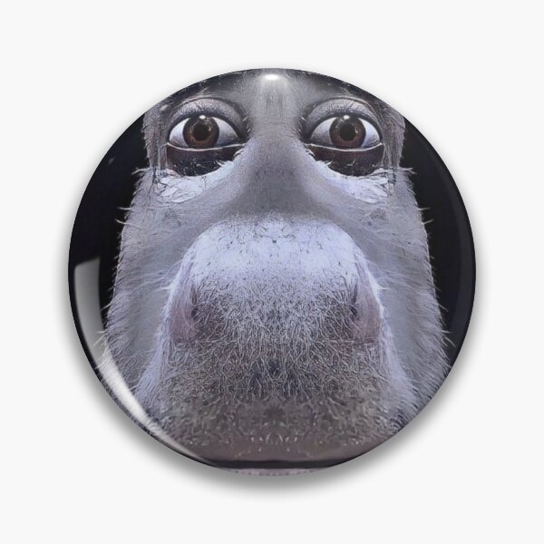 Item preview, Shrek Donkey closeup meme designed and sold by teaisfantastic.