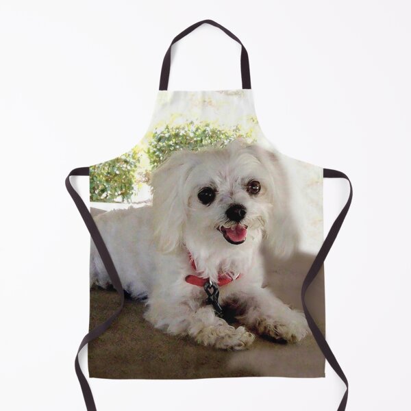 Item preview, Adorable Maltese Dog designed and sold by Carlo Varo.